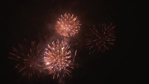 Vibrant Fireworks Exploding in the Dark Night Sky
