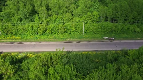 Cart With Horse By The Road