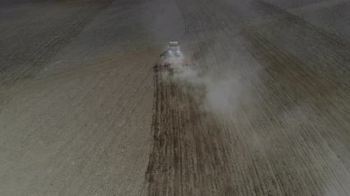 A Tractor Cultivates the Soil in the Field.