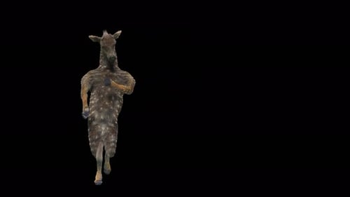 Funny Deer Like Creature Animal Dancing Animation