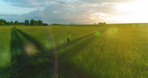 Sporty Child Runs Through a Green Wheat Field