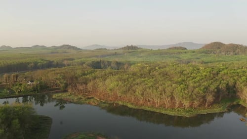 Aerial Forest And Lake