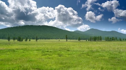 Flat Green Meadow Surrounded by Forested Hills