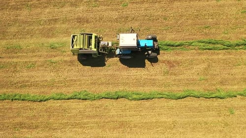 Landwirtschaftlicher Prozess der Spezialmaschine auf dem Feld. Draufsicht eines Traktors, der grünes Gras sammelt
