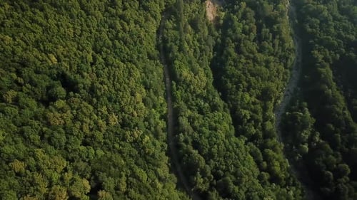 Aerial Top View of Caucasian Mountain Forest, Texture of Forest View From Above.