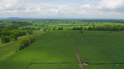 Luftaufnahme von oben auf Gras- und Ackerfeld mit grünem Berghügel im landwirtschaftlichen Konzept