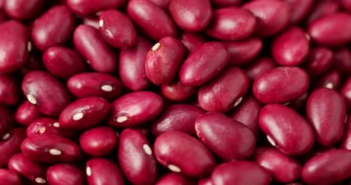 Close Up of Fresh Red Kidney Beans