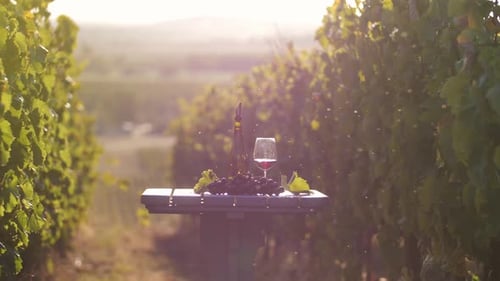 Wine on the Table