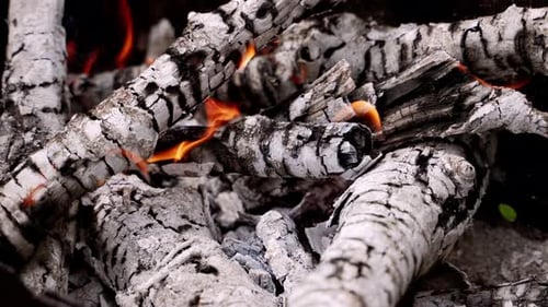 Burning Firewood With Bright Flames