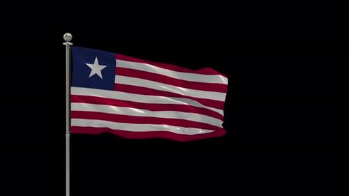 Realistic Waving Flag Animation for National Representation