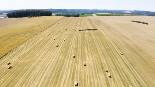 Aerial Drone Shot Brown Field with Hay Bales in a Rural Area on a Sunny Day Drone Flies Backward