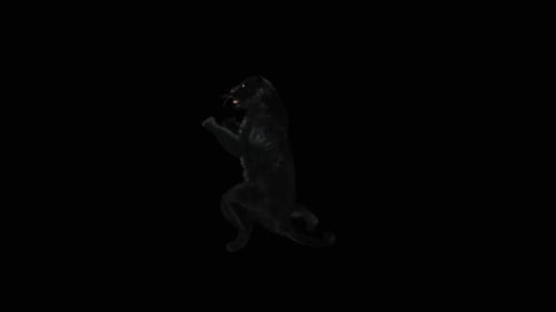 Dancing Black Panther 3D Animation