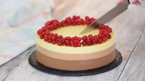 Three Layer Cake Sliced with Red Currants