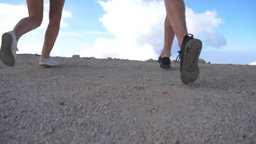 Young Couple of Tourists with Backpacks Running to the Edge of Beautiful Canyon and Victoriously