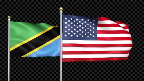 Tanzania and USA Flags Waving Seamlessly for International Relations