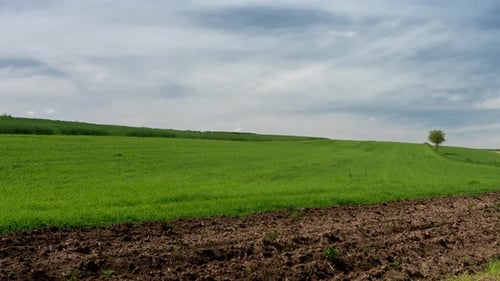 Rural landscape