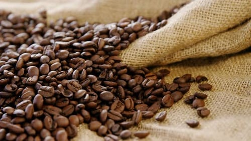 Roasted Coffee Beans Spill from Burlap Sack