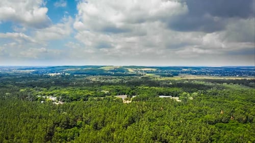 Hyperlapse Aerial View Over Green Forest with Moving Clouds in Blue Sky