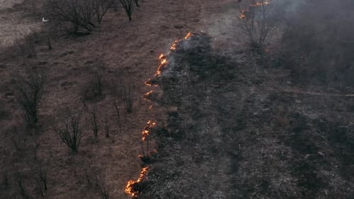 Ecological Problems. Videography of a Village with a Burning Field, Smoke Spreads Across the Field