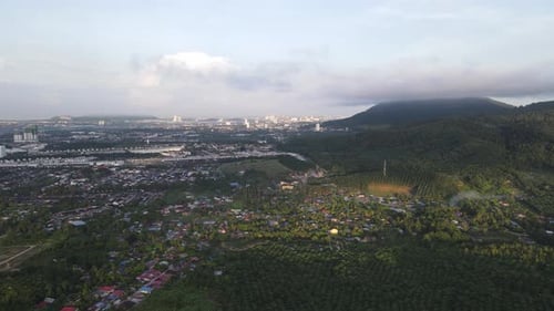 Aerial morning sunshine over plantation oil palm