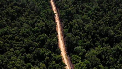 AH - The Road in Forest