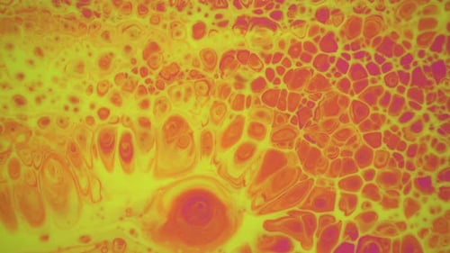 Swirling Paint Abstract Background in Yellow, Pink and Orange