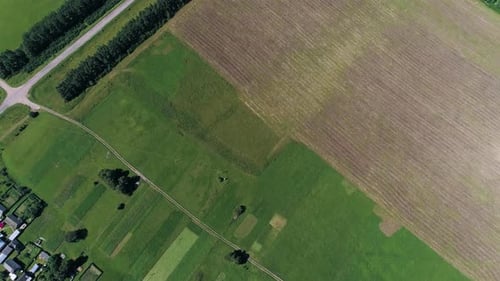 Aerial view of ploughed agricultural fields and village in summer. Drone footage