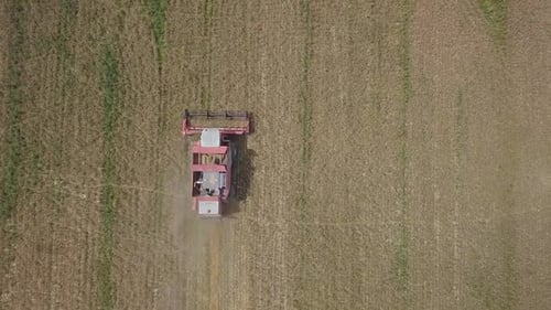 Aerial Top View of Combine Harvester Working on Wheat Field