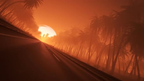 Endlose tropische Straße voller Palmen, die bei Sonnenuntergang in die Stadt führt. 4KHD
