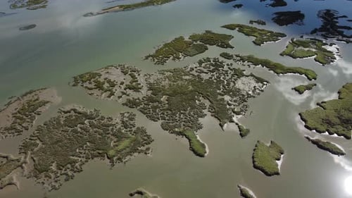 Aerial View of a Wetland Ecosystem