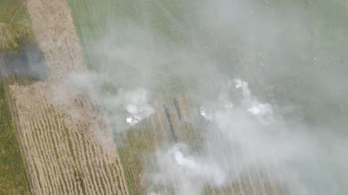 Aerial View on Top. People Burn Dry Grass in the Fields. Fire in the Field and Flying Over a Smoky