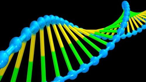 Rotating 3D DNA Double Helix Animation with Alpha Channel