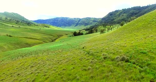Green hills Bromo
