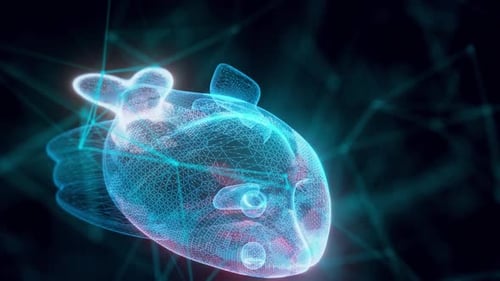 Stylized Fish Hologram Close Up Hd