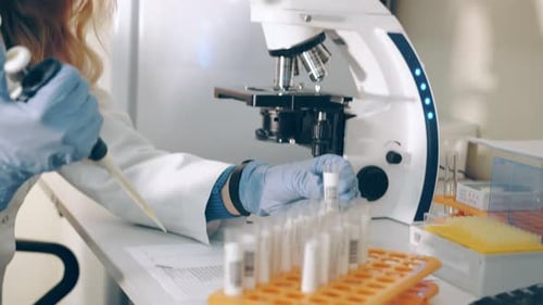 Researcher Working in a Laboratory with a Microscope Uses a Laboratory Pipette To Test Blood in Test