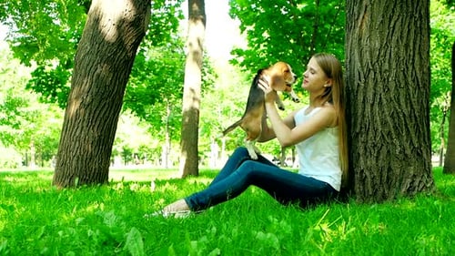 Woman Plays with Beagle Puppy in Shady Park