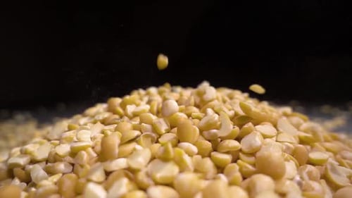 Yellow Split Peas Falling onto Pile Close Up