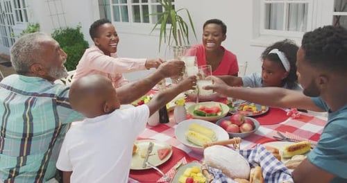 Family Togetherness Toasting at Outdoor Meal