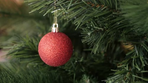 Red Glittery Christmas Ornament on Green Tree