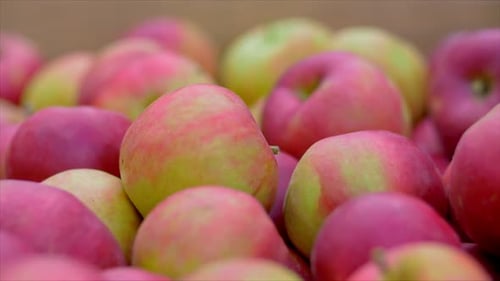 Heap of Fresh Red and Green Apples