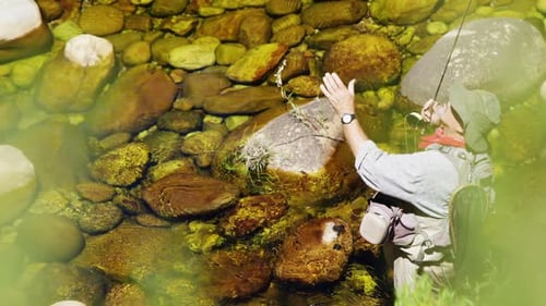 Fisherman fly fishing in river