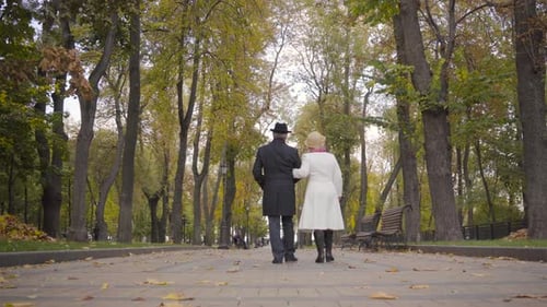 Back View of a Mature Caucasian Couple Walking in the Autumn Park and Talking
