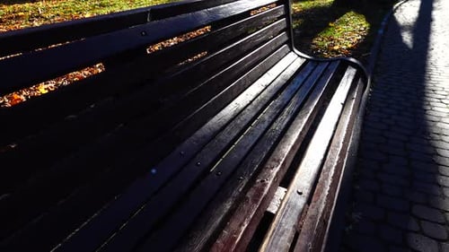 A wooden bench in the backlight of the sun on a park path. Shooting in the fall.
