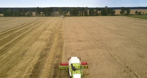 Combine Header Rotates and Gathers Ripe Grain on Field