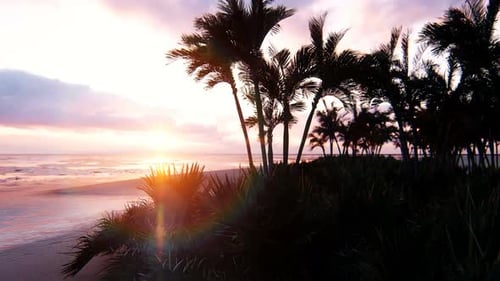 Amazing Sunset
