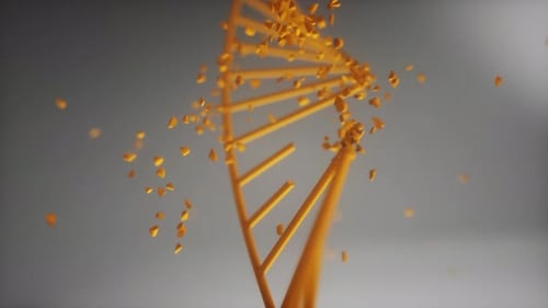 Golden DNA Helix Fragmenting Science and Medical Animation
