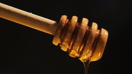 Golden Liquid Honey Drips Slowly From the Spoon
