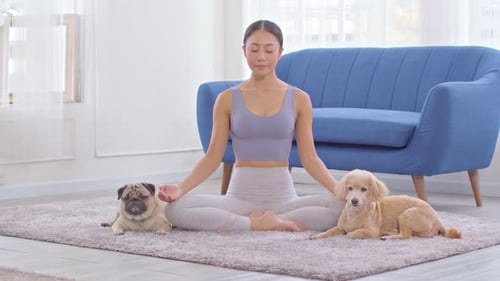 Woman Meditating with Dogs in Bright Home