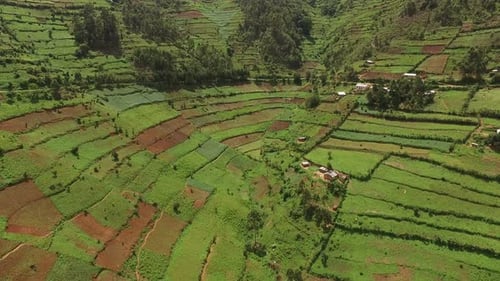 Aerial view of agricultural fields in Uganda