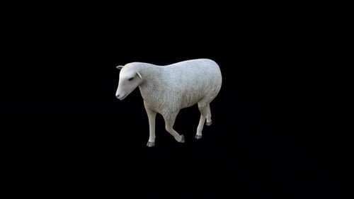 Sheep Walk Blick von oben nach vorne